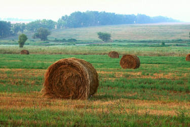 Similar image 511512