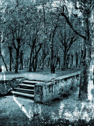 Similar image 511540