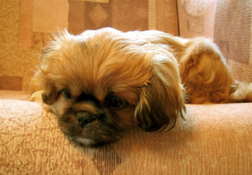 Similar image 511548