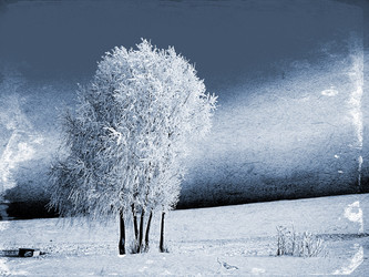 Similar image 511550