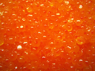 Similar image 511555