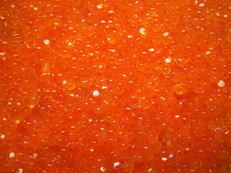 Similar image 511556