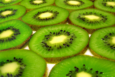 Similar image 511560