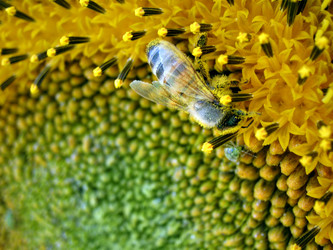 Similar image 511582