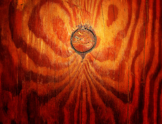 Similar image 511642