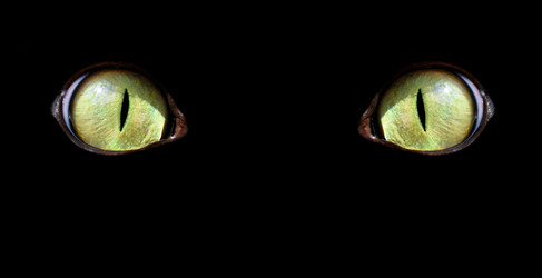 Similar image 511741