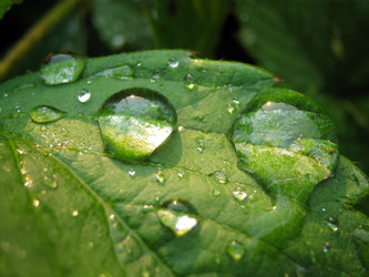 Similar image 511743