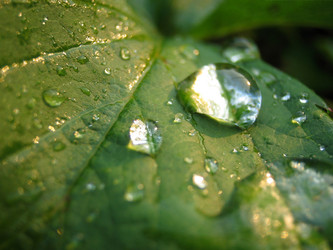 Similar image 511745