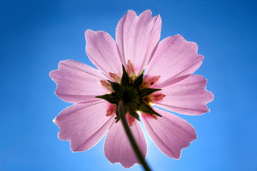 Similar image 511747