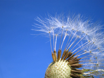 Similar image 511763