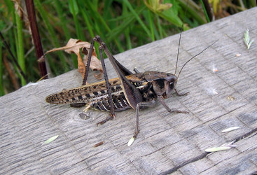 Similar image 511765