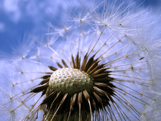 Similar image 511766