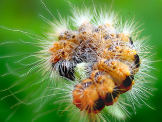 Similar image 511770