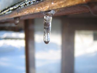 Similar image 511775