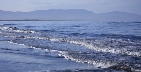 Similar image 511776