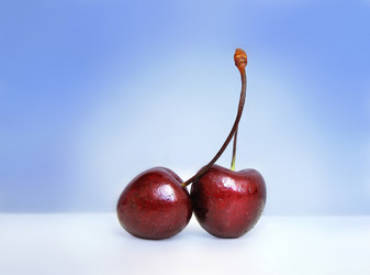 Similar image 511779