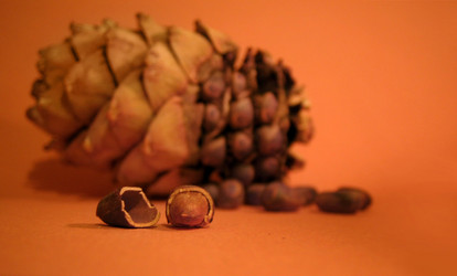 Similar image 511795