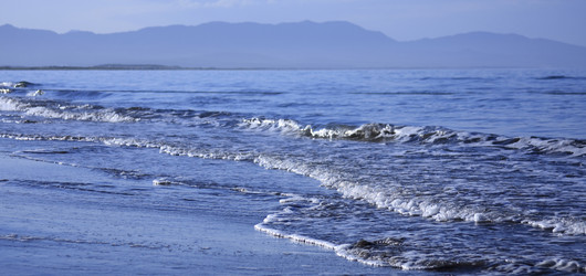 Similar image 511803