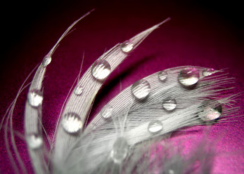 Similar image 511810