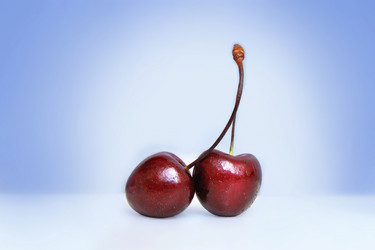 Similar image 511817