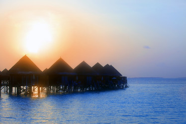 Similar image 511843