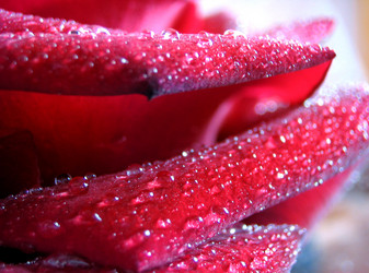 Similar image 511846