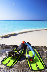 Similar image 511866