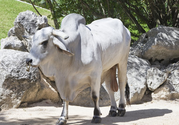 Similar image 511874