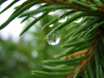 Similar image 511897