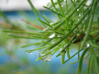 Similar image 511898