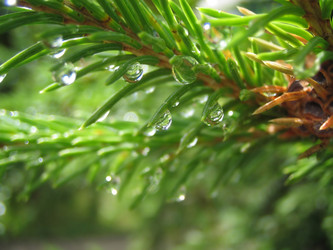 Similar image 511900