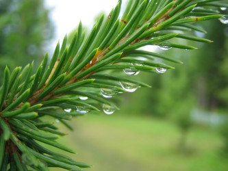 Similar image 511905