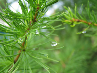 Similar image 511906