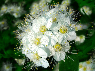 Similar image 511917