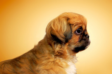 Similar image 511970