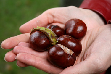 Similar image 511973