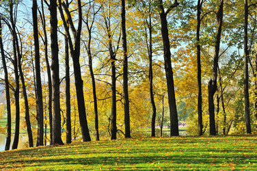 Similar image 511975