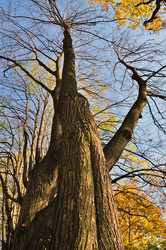 Similar image 511979