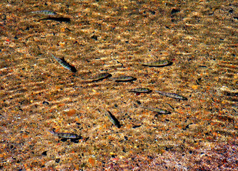 Similar image 511996