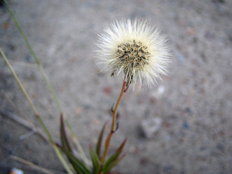 Similar image 512022