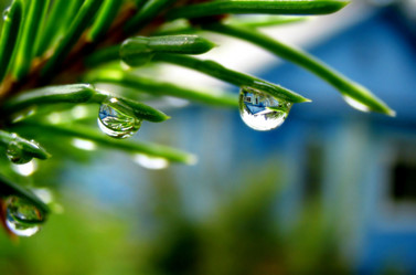 Similar image 512039