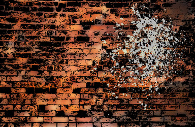 Similar image 512046