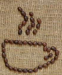 Similar image 512237