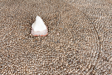 Similar image 512264