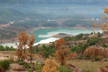 Similar image 512268