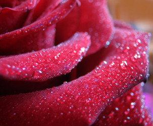 Similar image 512299