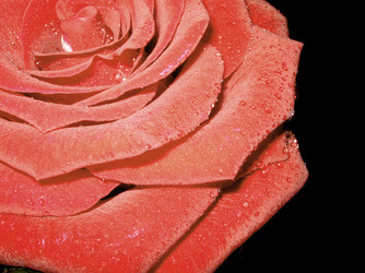 Similar image 512300