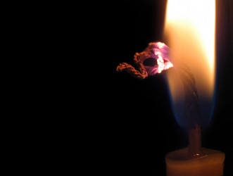 Similar image 512335