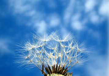 Similar image 512454