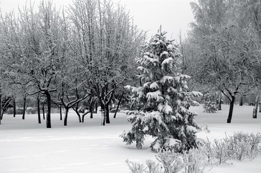 Similar image 512503